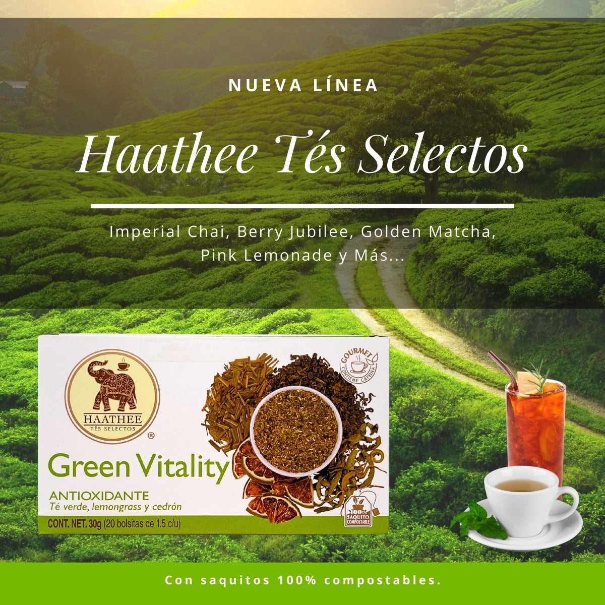 GREEN VITALITY