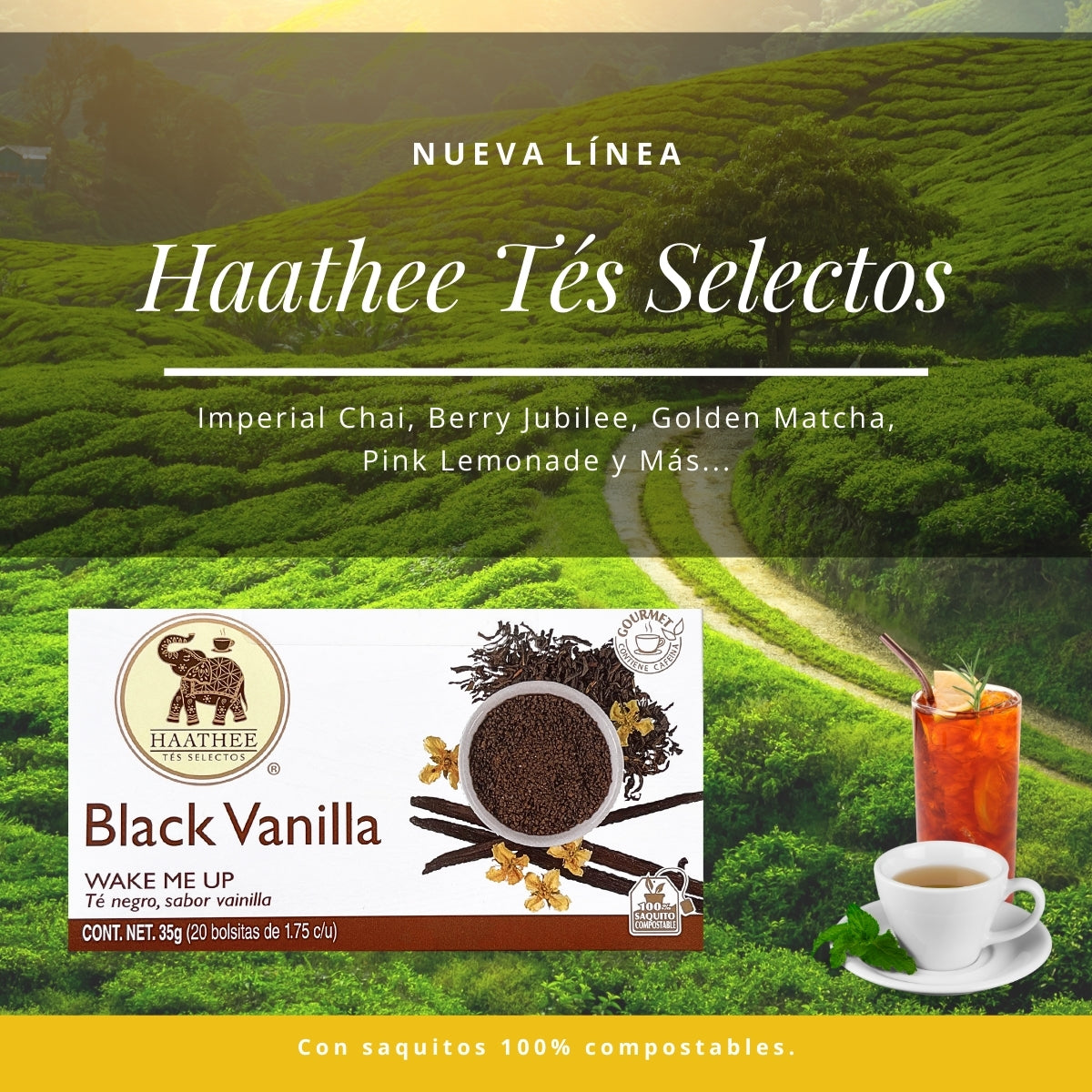 BLACK VANILLA