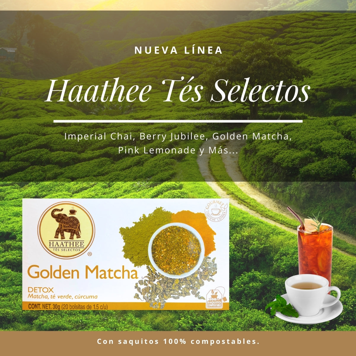 GOLDEN MATCHA