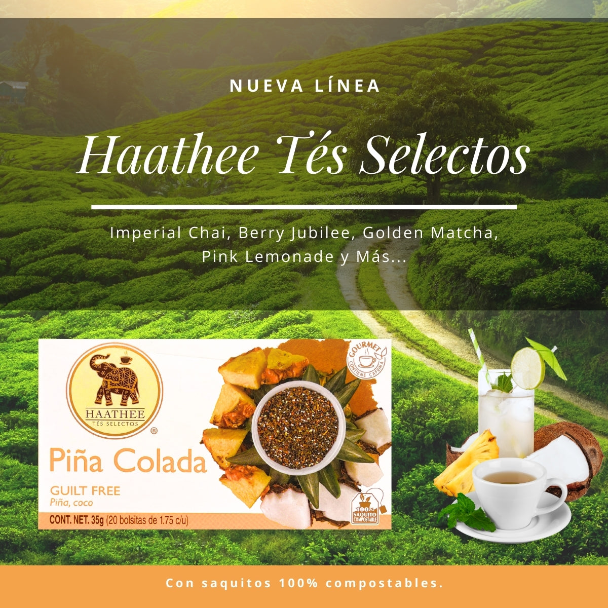 PIÑA COLADA