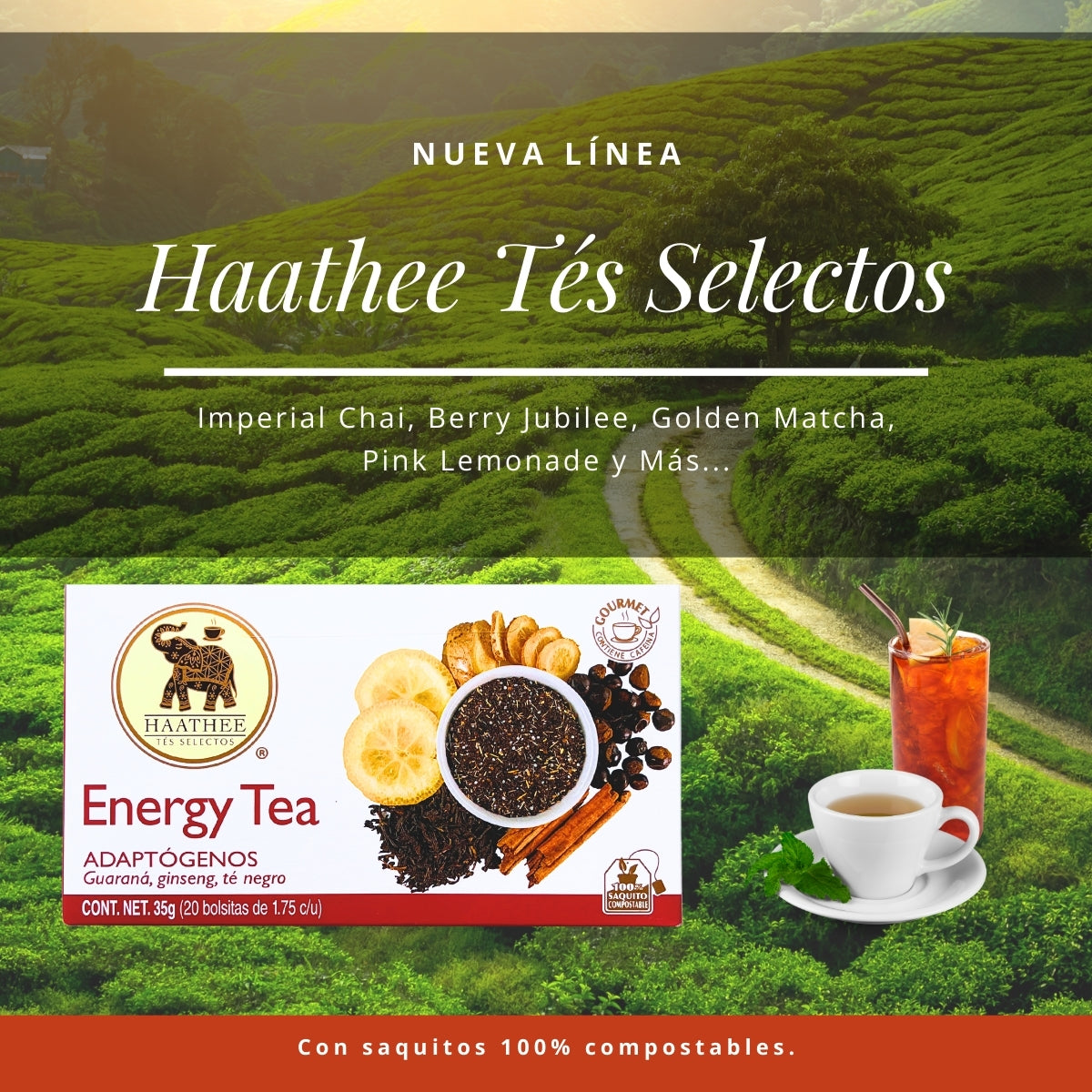 ENERGY TEA