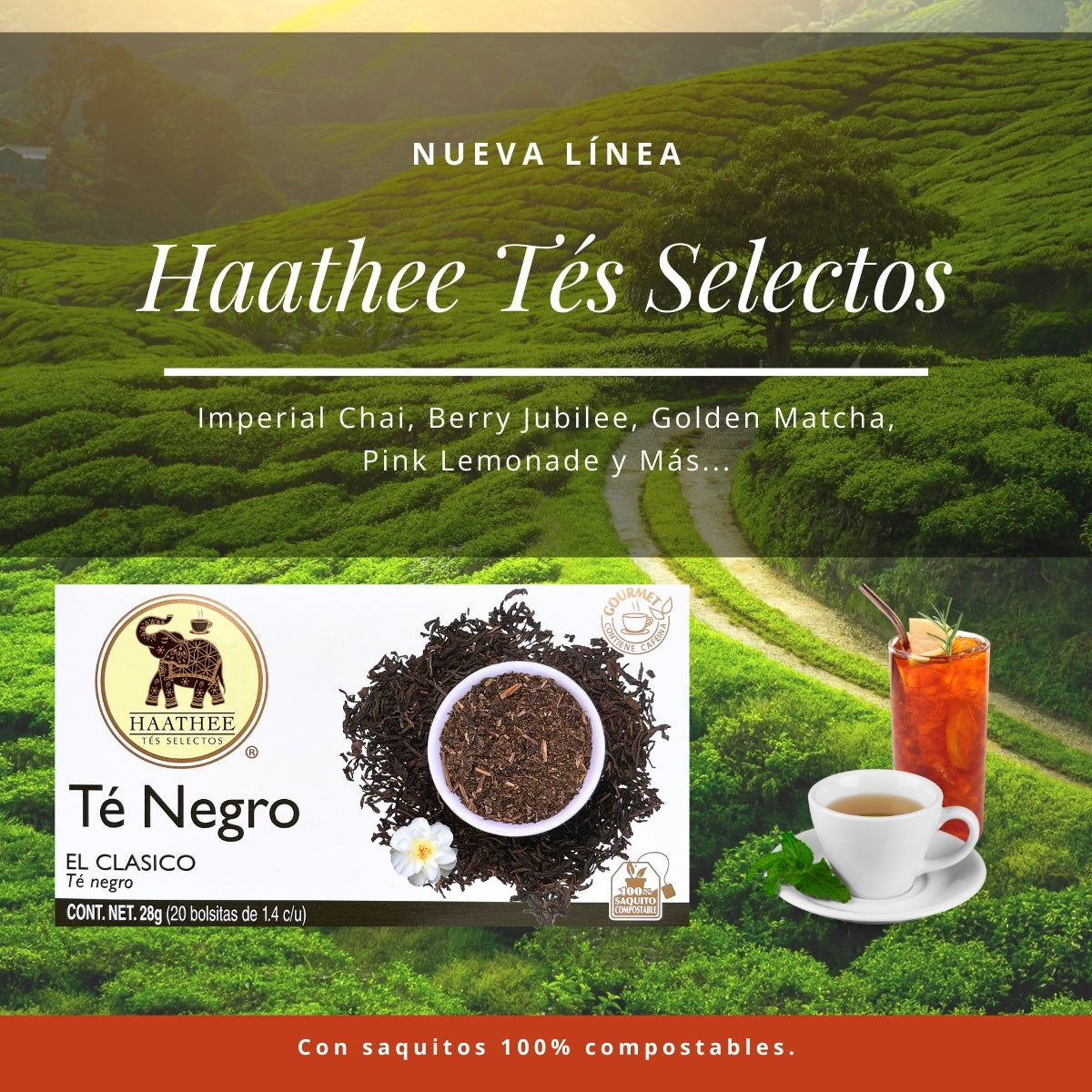 TÉ NEGRO
