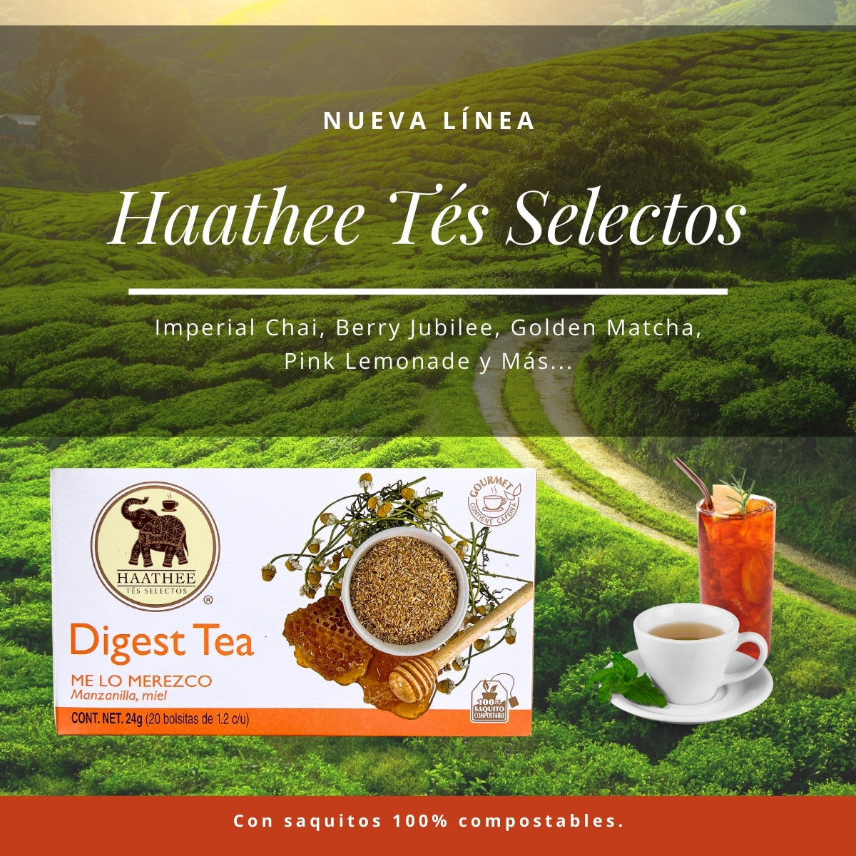 DIGEST TEA