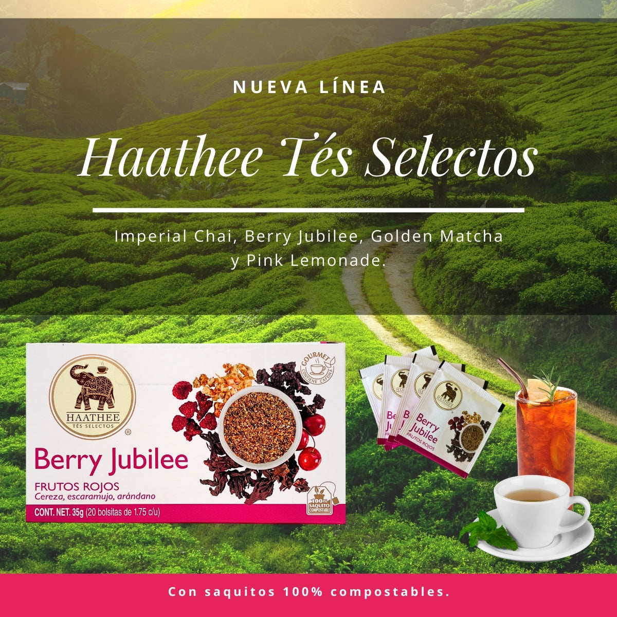 BERRY JUBILEE
