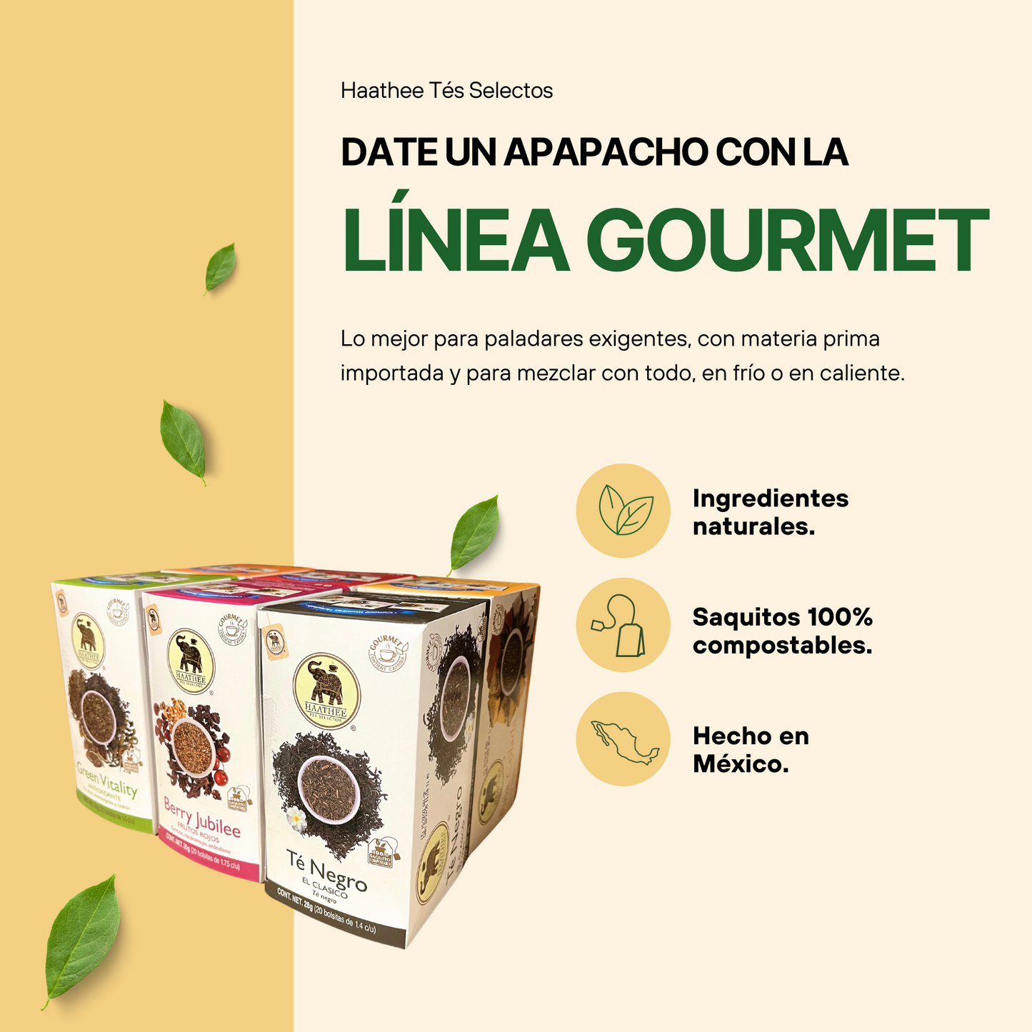 Haathee Línea Gourmet (Family Packs de 6 cajitas - Sabores variados)