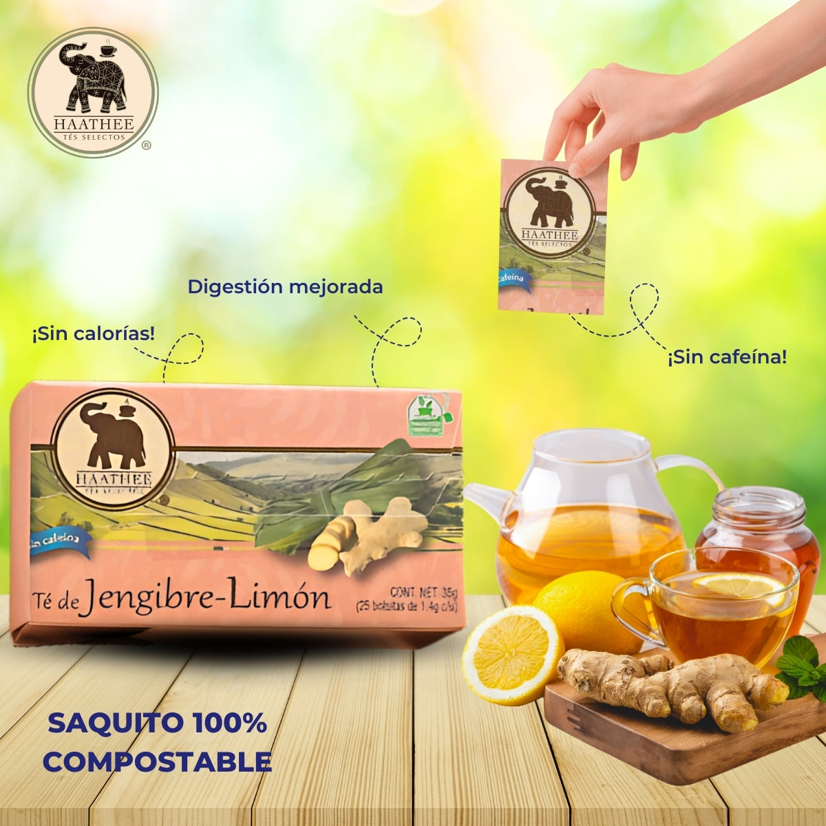 TÉ JENGIBRE LIMÓN