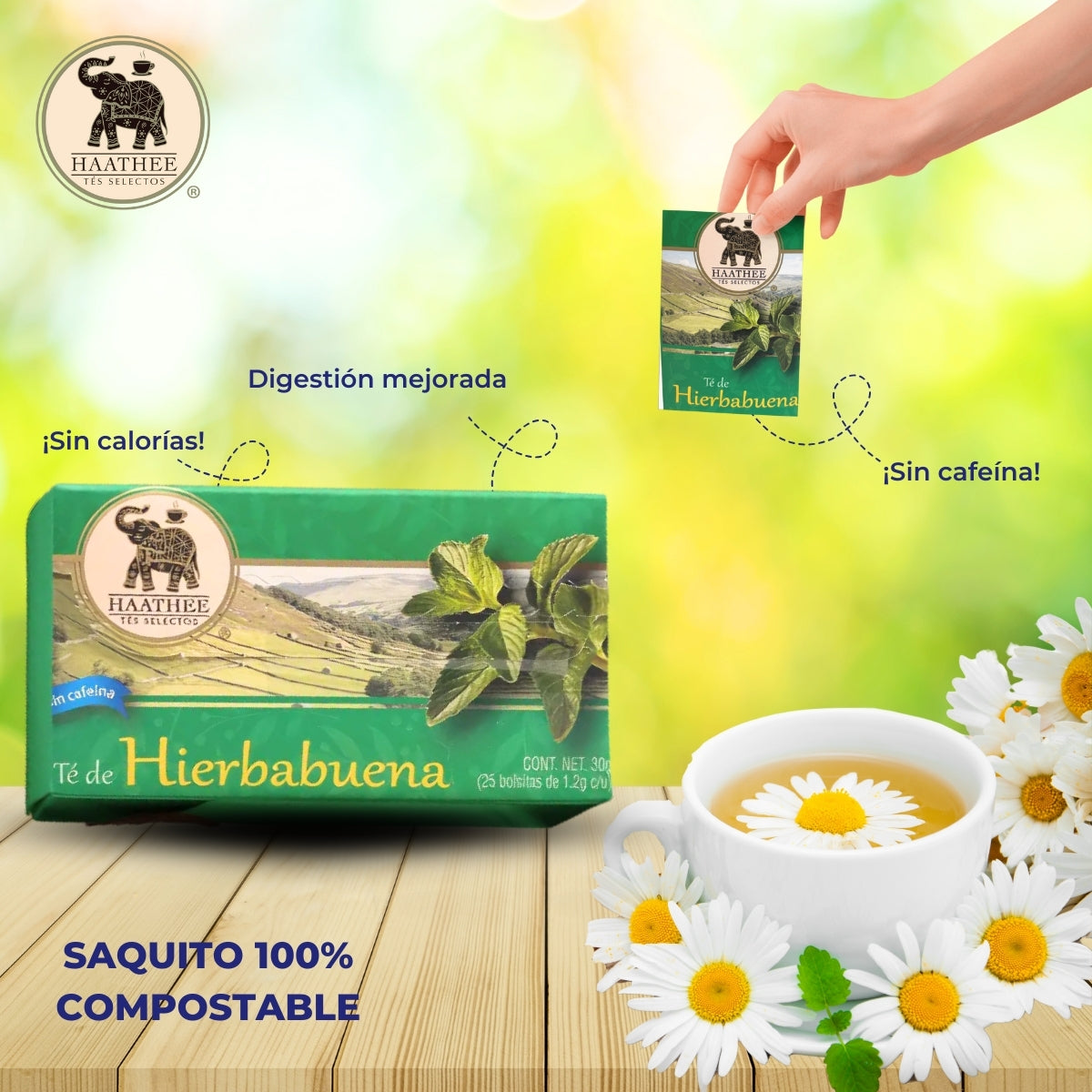 TÉ HIERBABUENA