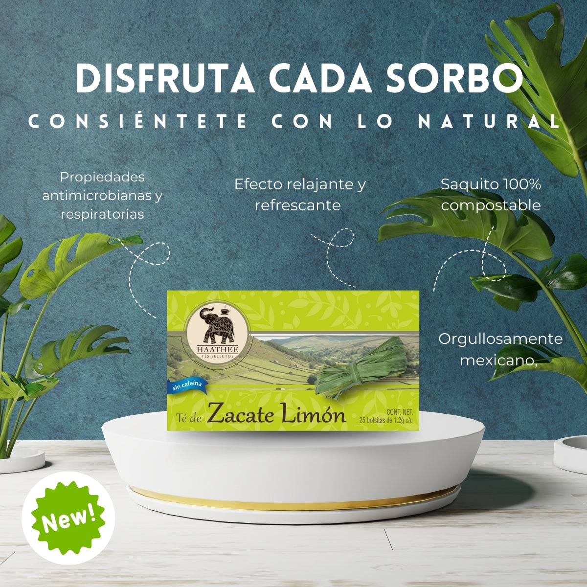 TÉ ZACATE LIMÓN