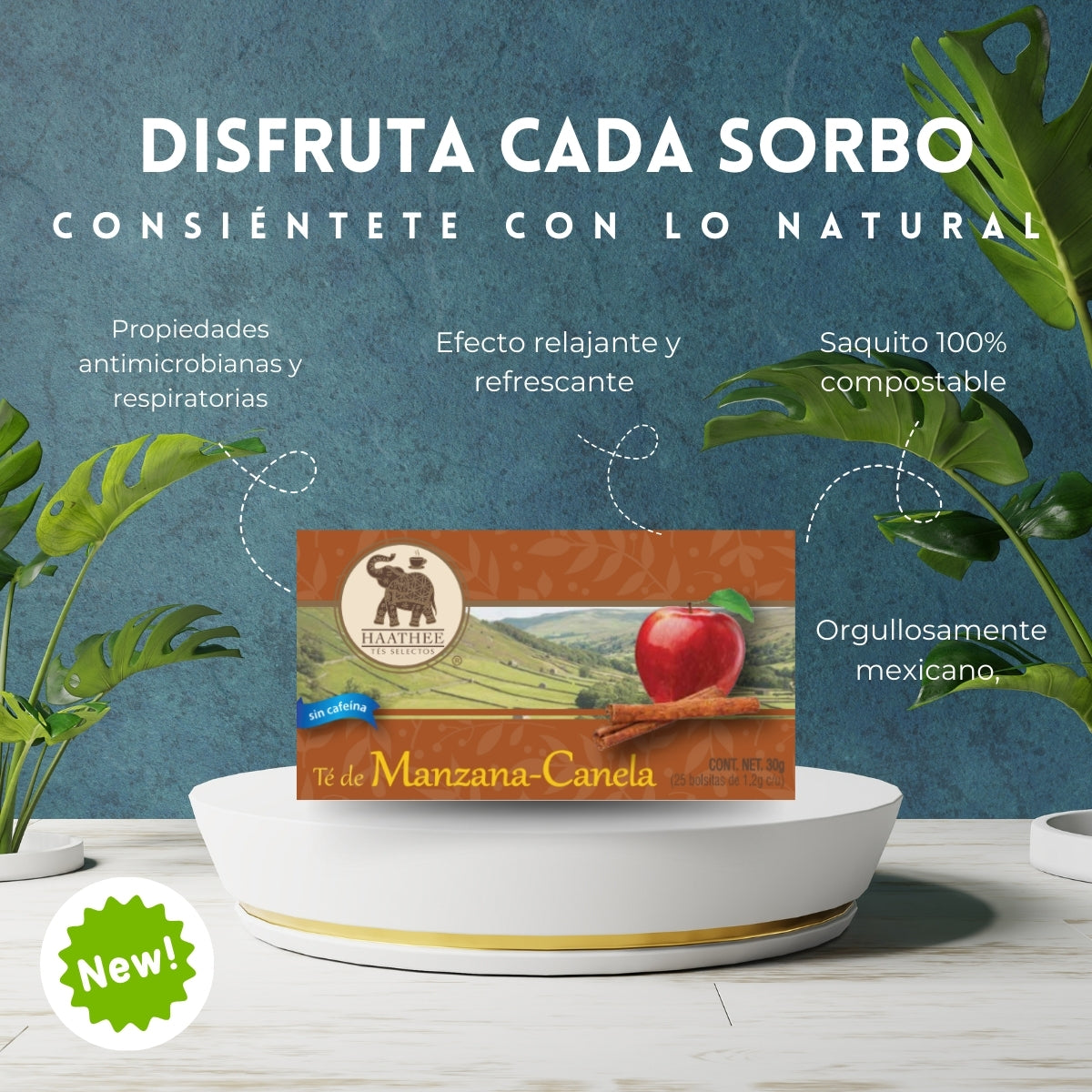 TÉ MANZANA CANELA