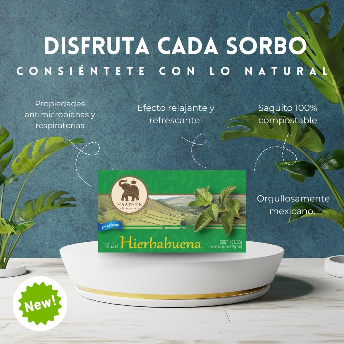 TÉ HIERBABUENA