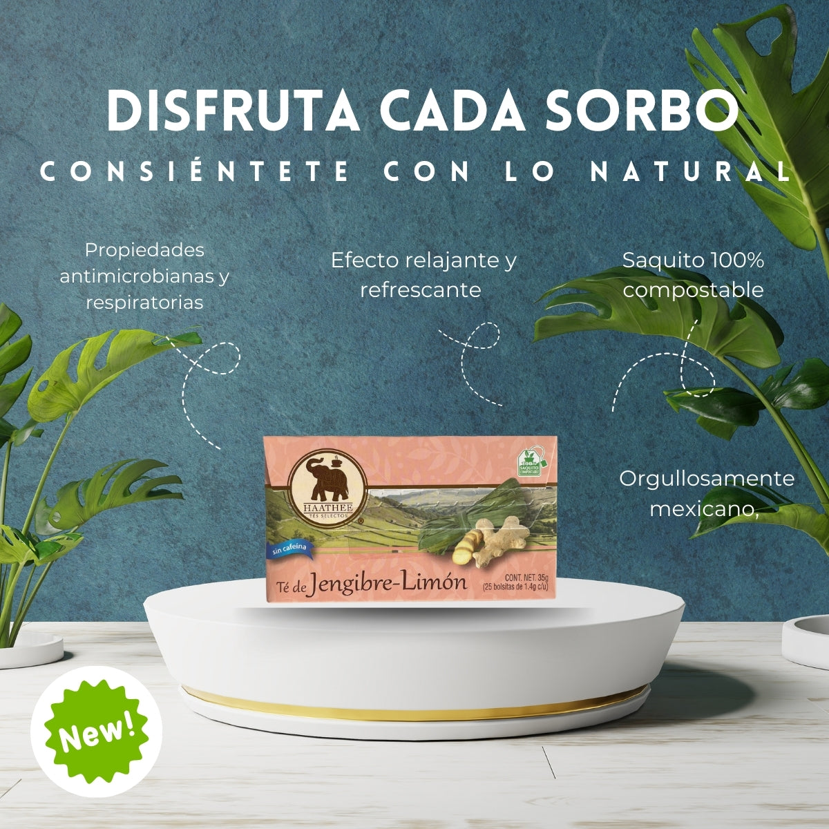 TÉ JENGIBRE LIMÓN
