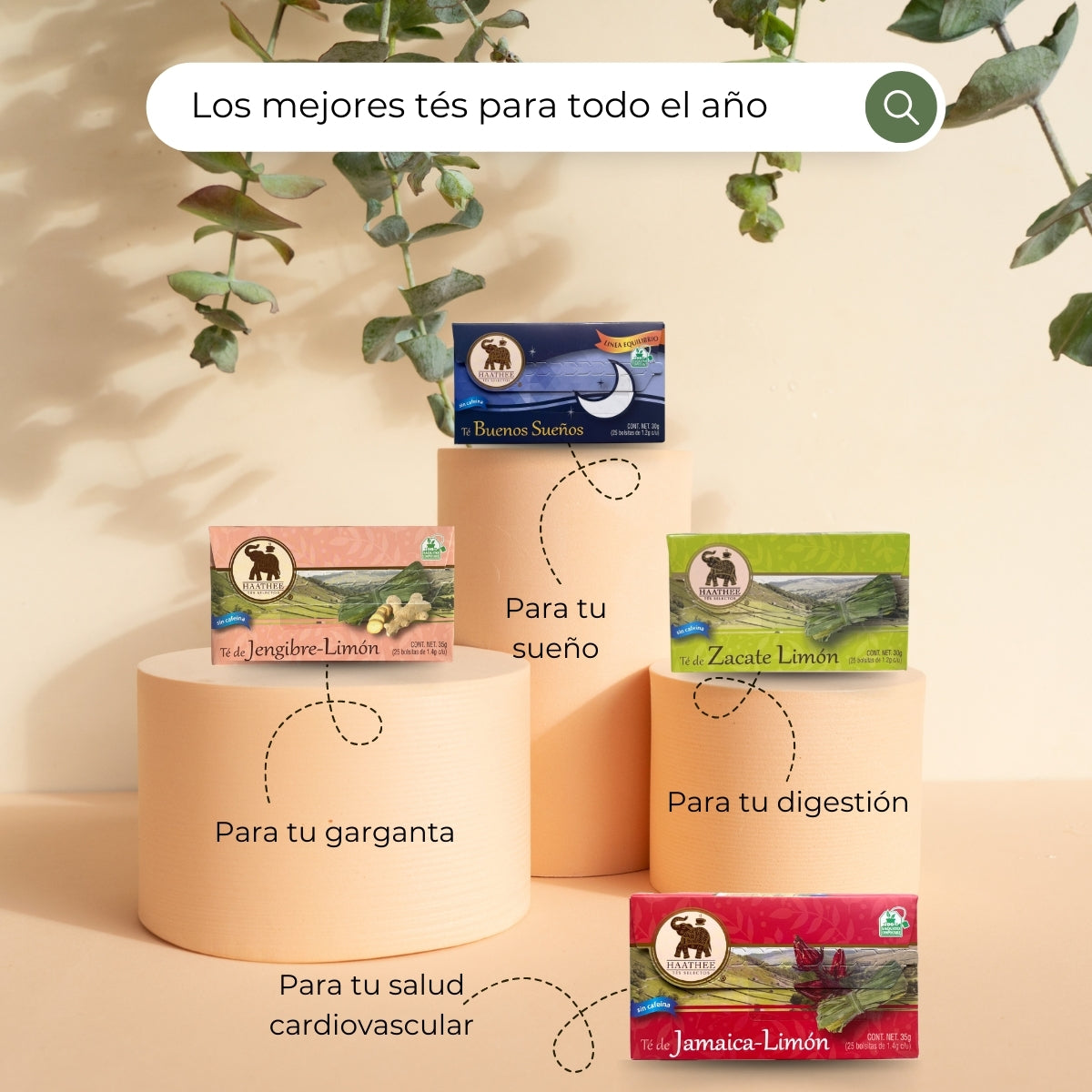 TÉ SIETE AZAHARES
