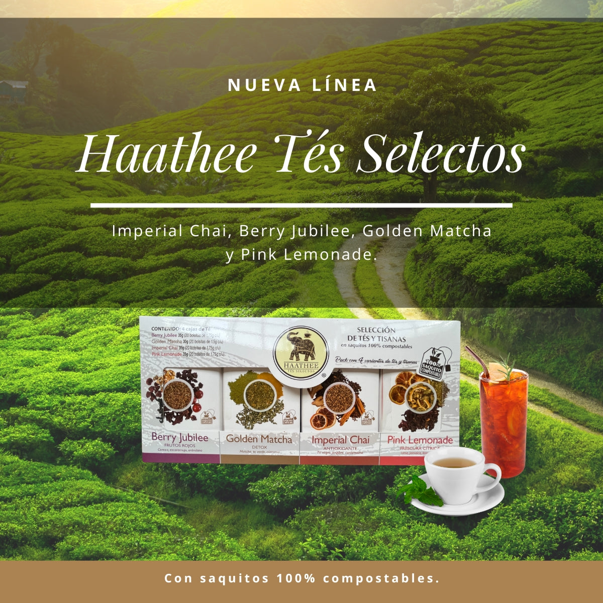 TÉ MANZANA CANELA