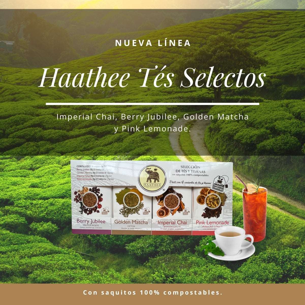 TÉ GARGANTA DULCE