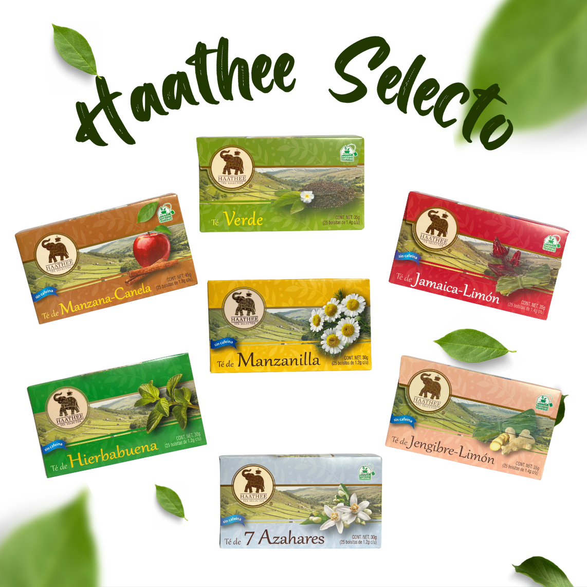 Haathee Línea Selecta (Cajitas de 25 sobres c/u - Sabores variados)