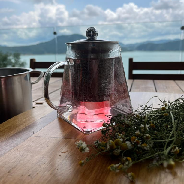 Tetera Borosilicato Haathee 300 ML.