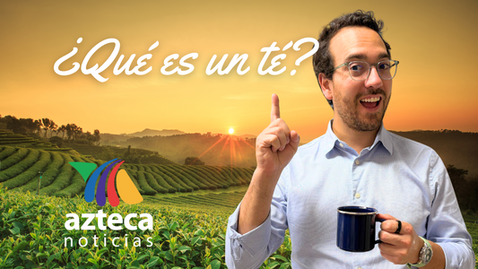 ¿Qué es un té y cómo puede cambiar mis hábitos? Entrevista para televisión