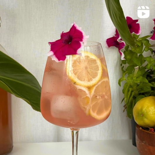 ¡Gin rosa con Pink Lemonade!