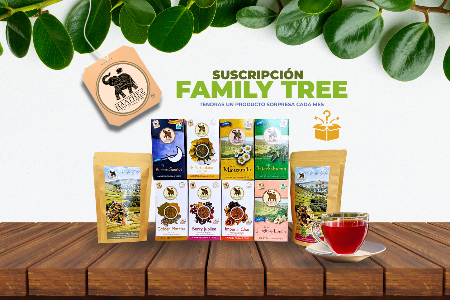 Family Tree