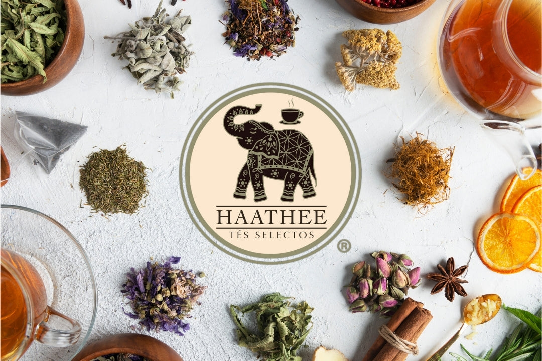 Haathee Tés – Haathee Tés Selectos