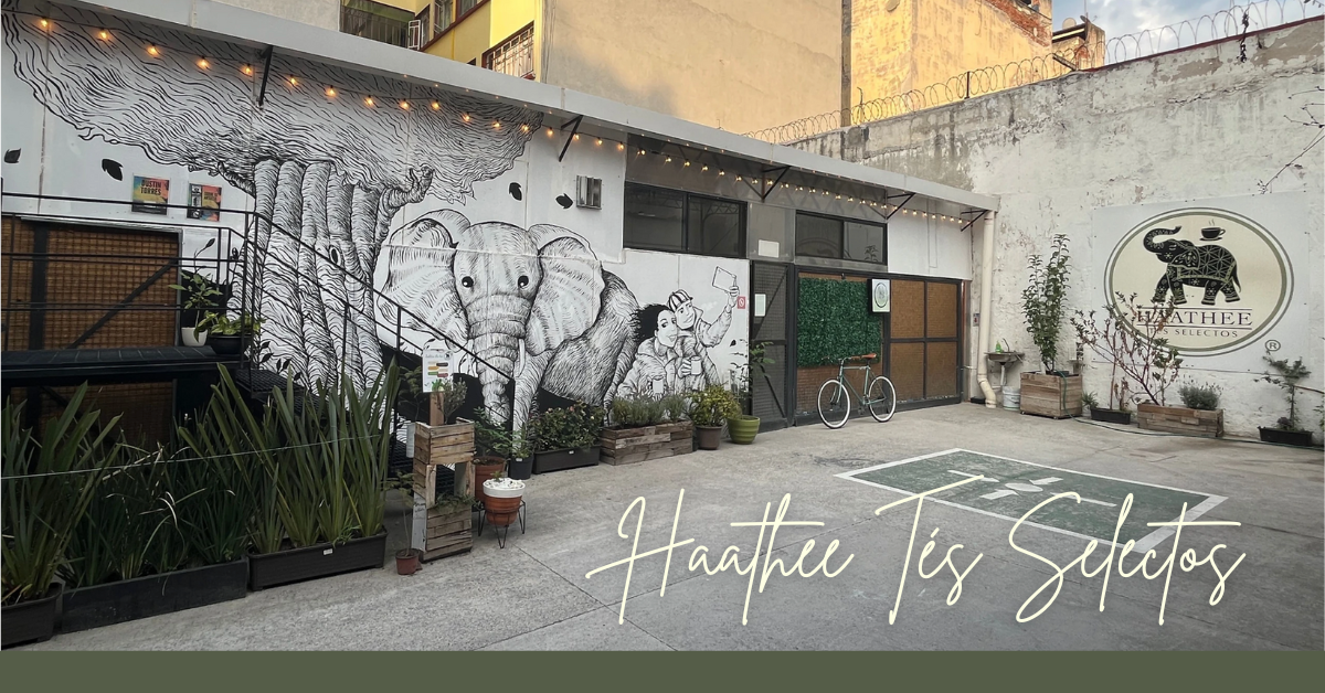 Nuestros clientes – Haathee Tés Selectos