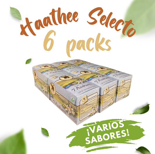 Haathee Línea Selecta (Family Packs de 6 cajitas - Sabores variados)