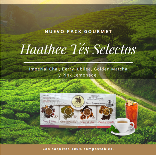 Pack de tés e infusiones Haathee Línea Gourmet / 4 sabores